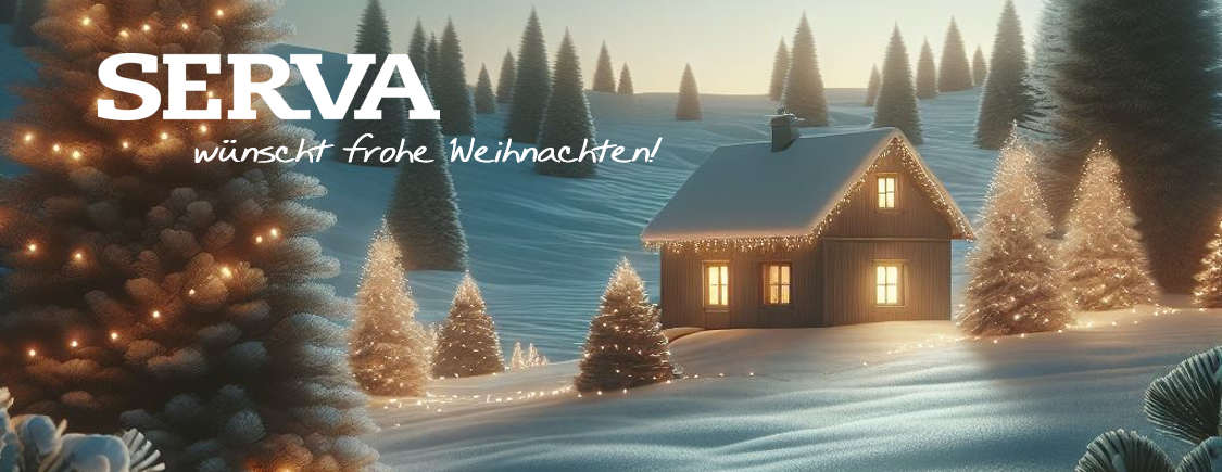 Weihnachten 2024_DE.png